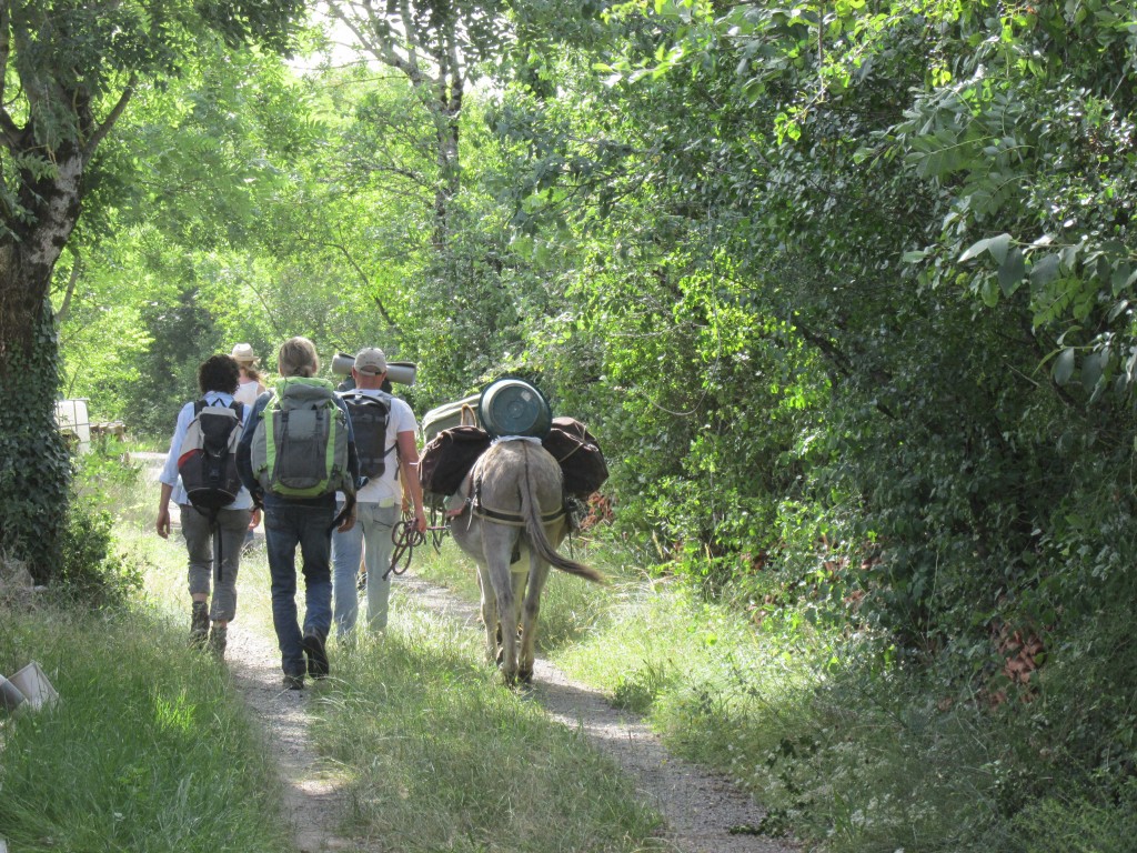 Reprendre une location d'ânes : - UNÂP
